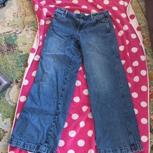 PacSun Blue Denim Jeans